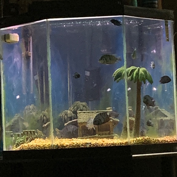 Meet your Posher, Jeff - Picture 1 of 1